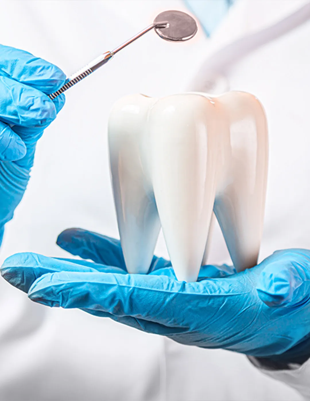 Blue-gloved hands holding a large ceramic tooth model in one hand and a dental mirror in the other.