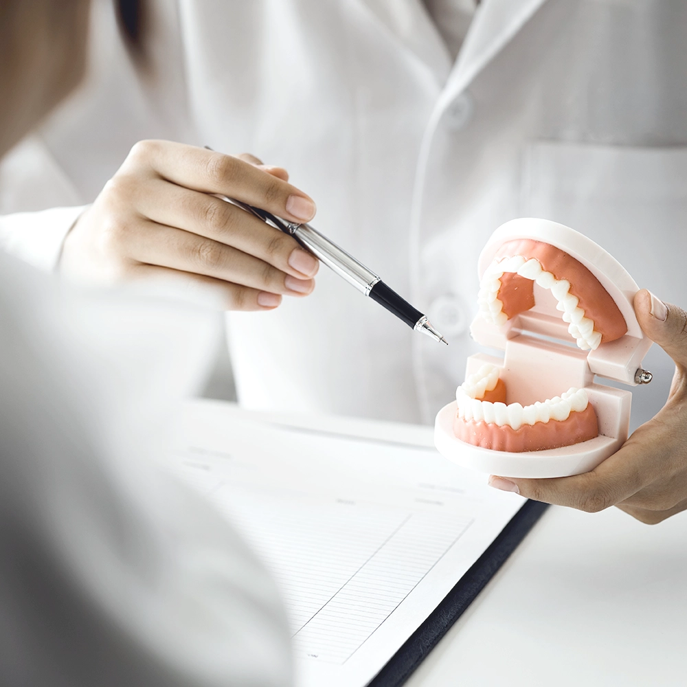 Dentist pointing at a tooth model with a pen while explaining dental details.