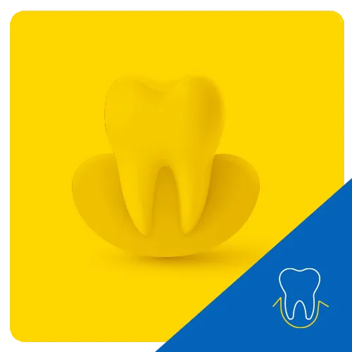 3D graphic of a molar tooth rising from a circular base on a yellow background, depicting tooth emergence or protection.