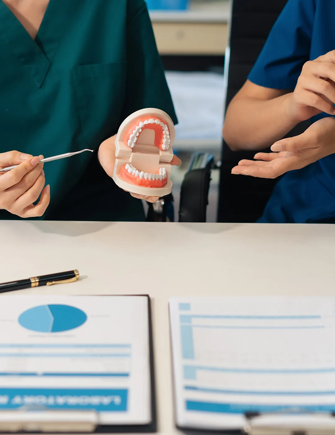 Dentist holding a tooth model while another dentist stands beside them.